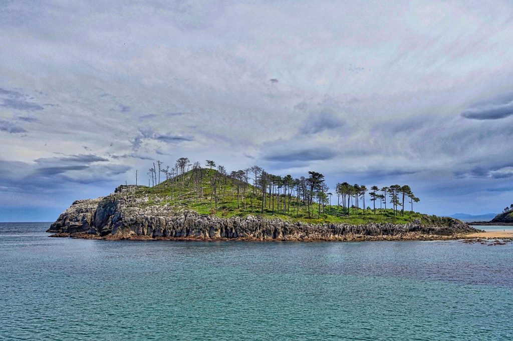 island, headland, trees